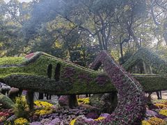 -杭州植物园