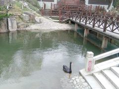-白马涧龙池景区