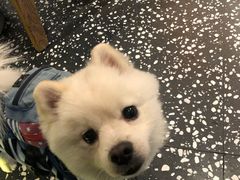 -Moka Bros 摩卡站(嘉华店)