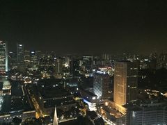 史丹福瑞士酒店-新加坡瑞士史丹福酒店