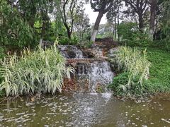 -东莞植物园