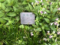 -广州神农草堂中医药博物馆