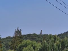 -上海佘山国家森林公园天马山园