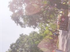 -东湖落雁景区