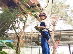 -芦仙山景区-飞越丛林探险乐园