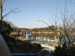 -吴淞炮台湾湿地森林公园烧烤区