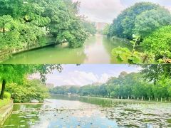 -中山公园