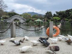 -玄武湖景区-情侣园游乐场