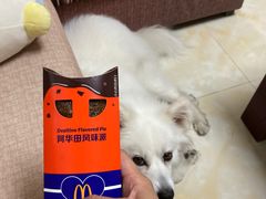 -麦当劳(西丽银座店)