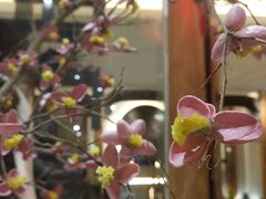 -翁暖茶馆(滨江东总店)