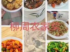 -柳周农家菜特色老店沙田柚美食(东大街店)