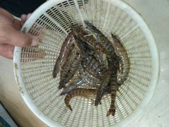 -聚德福海鲜家常菜(刘庄店)