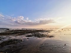 -大长山岛