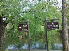 -鸳鸯湖景区