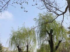 -济南大明湖景区