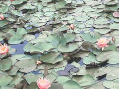 -尚贤河湿地