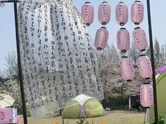 -自然谷恐龙园