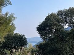 -梧桐山风景名胜区