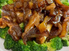 -陶然饺子城(奥体中路店)