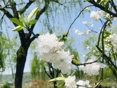 -浙江省博物馆(孤山馆区)