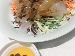 五彩大拉皮-大铁勺新津菜(东丽阳光新业广场店)