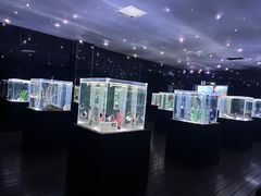 -邯郸海洋世界