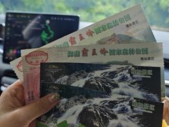 -海南霸王岭国家森林公园