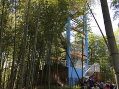 -宁波浙东大竹海景区