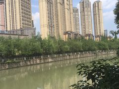 -成都市活水公园