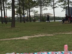 -美兰湖景区