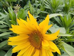 -白鹭湾湿地公园