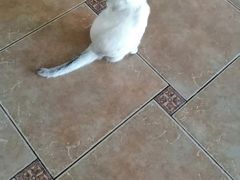 -青春加萌照相馆