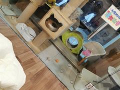 -哆趣宠物医院·眼科·内镜·急重症转诊中心(上海店)