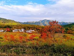 -塔川景区