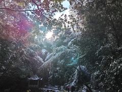 -泰宁旅游风景名胜区