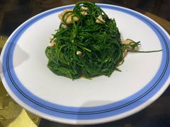 -老阿妈蒙古村(老君堂店)