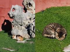 -长顺参鸡汤店(西塔总店)