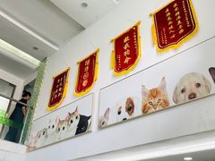 -爱侣宠医·鹦鹉专科·小型哺乳类·异宠专科(灵石路店)