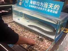 -東盛炭烤自助料理(玄武招商花园城店)
