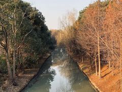 -同里国家湿地公园