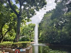 -九龙公园