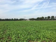 -兰陵国家农业公园