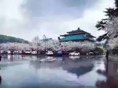 -武汉大学-樱园