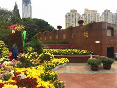 门面-西北湖绿化广场