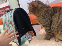 -纳吉亚猫专科动物医院博雅分院