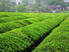 -敬亭山风景名胜区