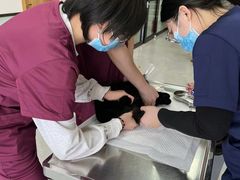 -中农大我爱我爱动物医院·核磁CT·猫病·24小时夜诊中心(石佛营店)