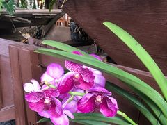 -自然餐厅(Phuket)