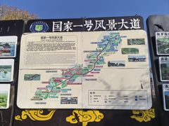 -御道口草原森林风景区