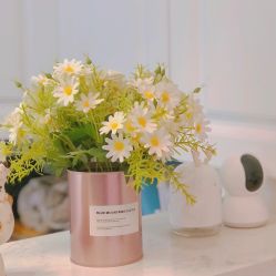 -F.N冻龄皮肤管理中心